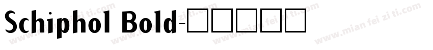 Schiphol Bold字体转换